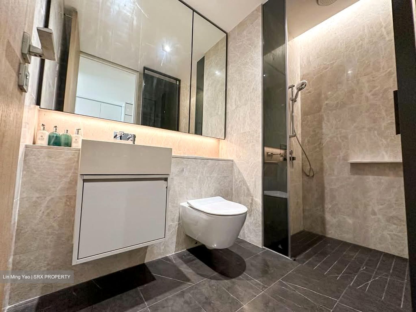Amber Park (D15), Condominium #569719661
